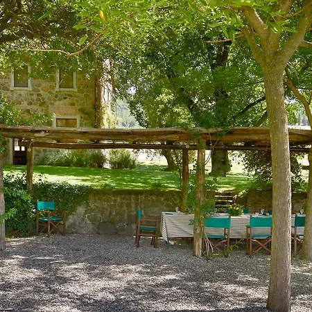 Chiarentana Di Donata Origo
