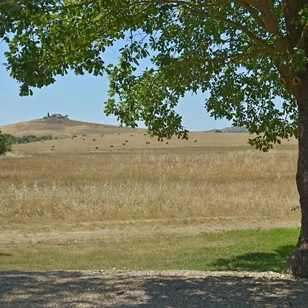 Chiarentana Di Donata Origo